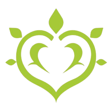 Dendro Characters Genshin Impact